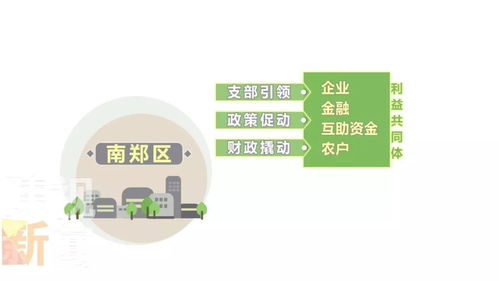 厲害了 漢中這個社區(qū)工廠生產的戶外服裝賣到了國外