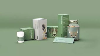 包裝設計 套路可循還是創意無限？