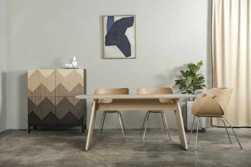 一年銷售2500把 銀杏椅 , side 想成為商業(yè)和家庭都適用的現(xiàn)代原創(chuàng)家具品牌